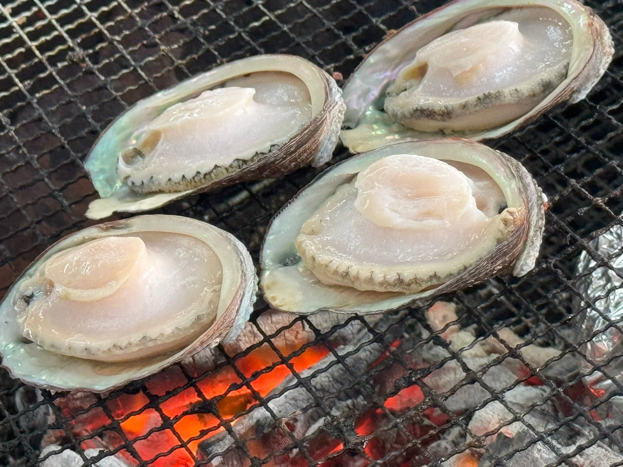🐟百搭套餐🐟_5