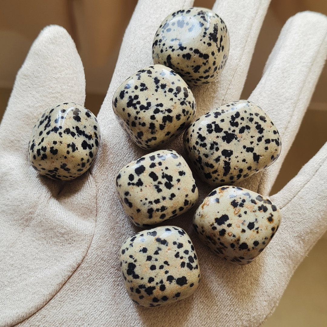 Dalmatian Jasper Tumbled Stone 
