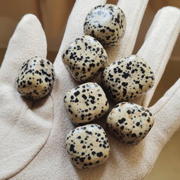 Dalmatian Jasper Tumbled Stone 