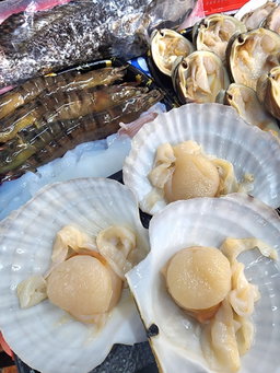 🐟百搭套餐🐟