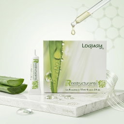 Primer Reestructurante Ampoyeta Loquay