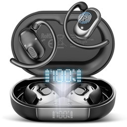 Ear Buds 