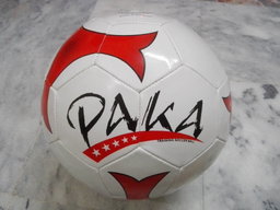 PAKA Lightweight Heading & Dribbling Soccer Ball Size 5