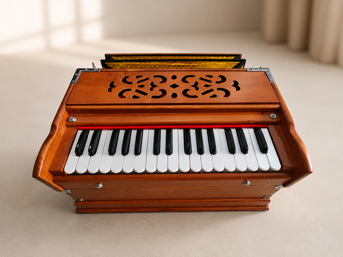 Small size Professional Harmonium_5