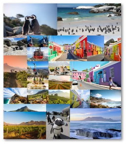 Day Tours/Charter Services