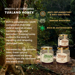 Fresh Harvest Tualang Honey (160g)