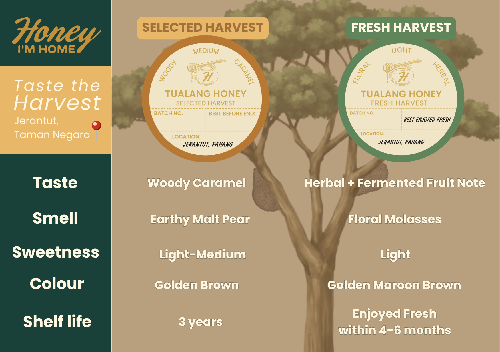 Fresh Harvest Tualang Honey (160g)_1