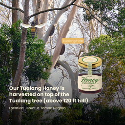 Fresh Harvest Tualang Honey (160g)