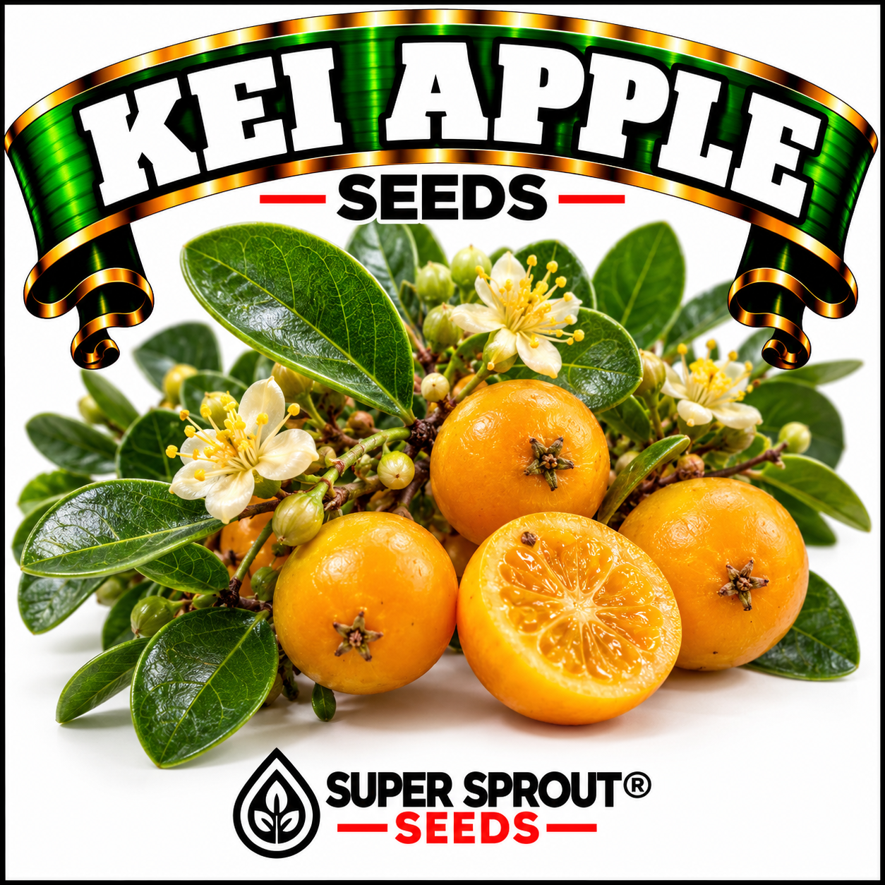 Kei apple x 6 seeds