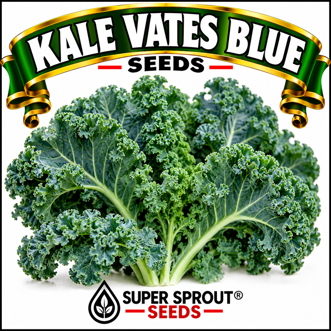 Kale Vates Blue curly x 50 seeds