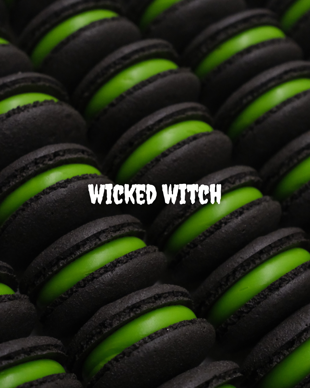 Halloween Collection_4