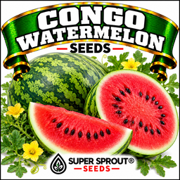 Congo Watermelon x 6 seeds 