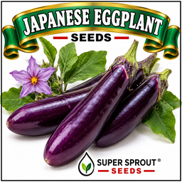 🍆Japanese Eggplant🍆 x 15 seeds 