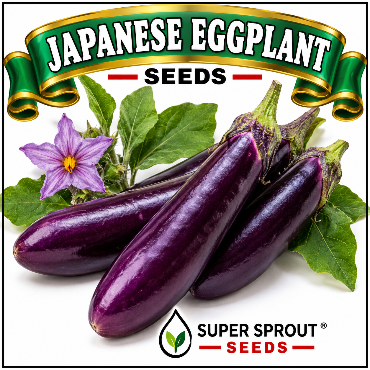 🍆Japanese Eggplant🍆 x 15 seeds