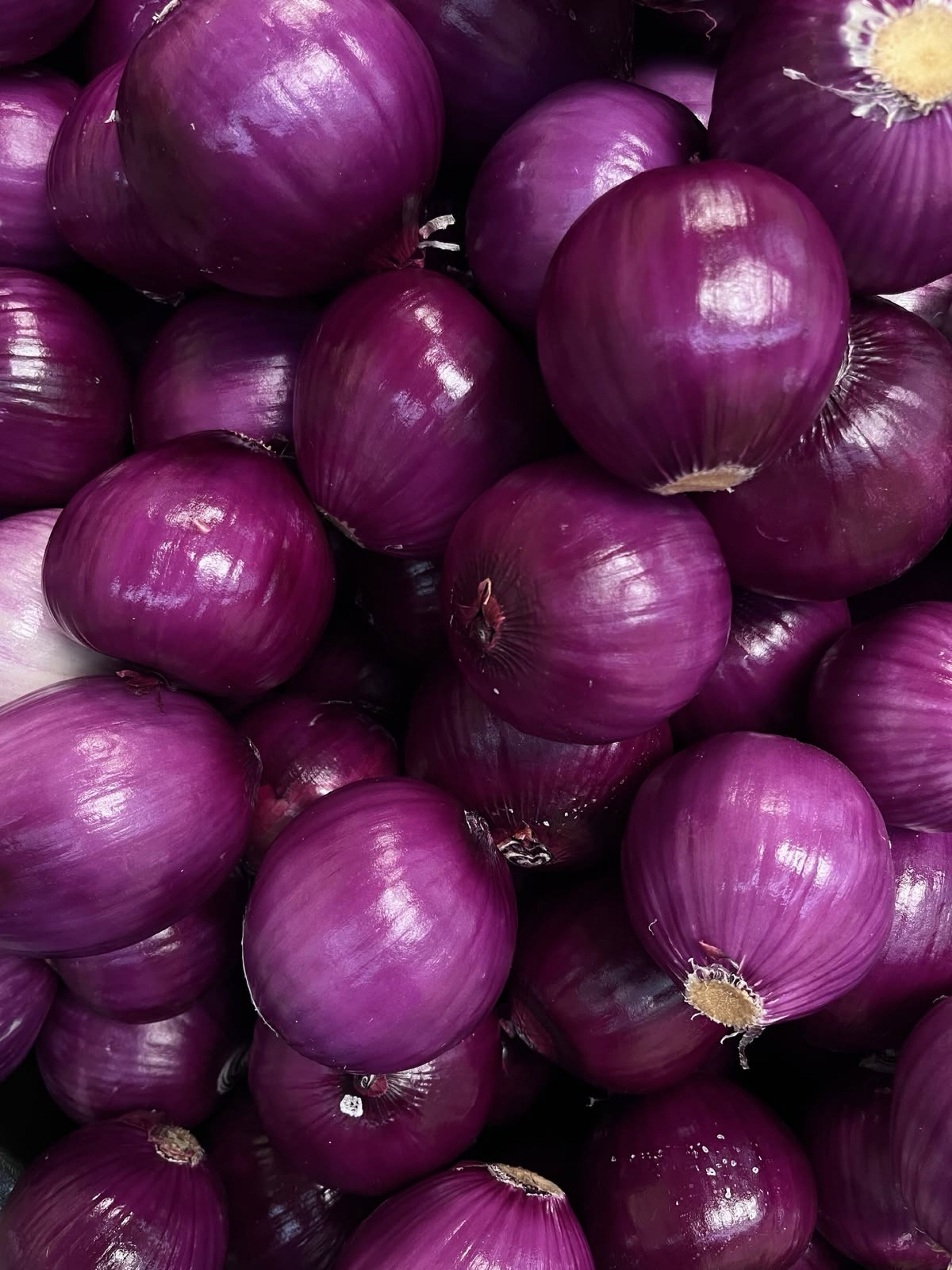 Cebolla Morada KG