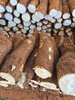 Yuca KG
