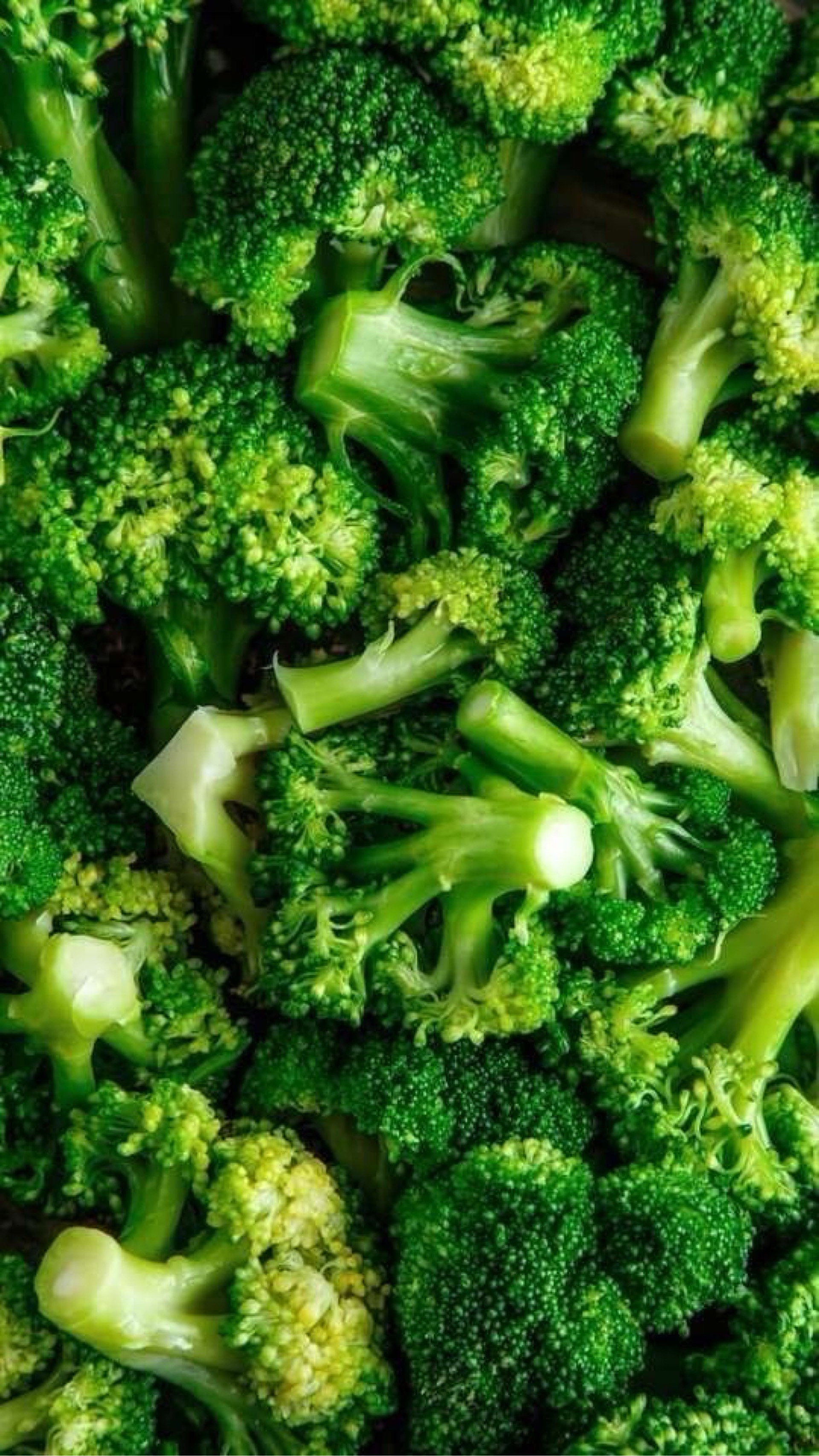 Brócoli KG