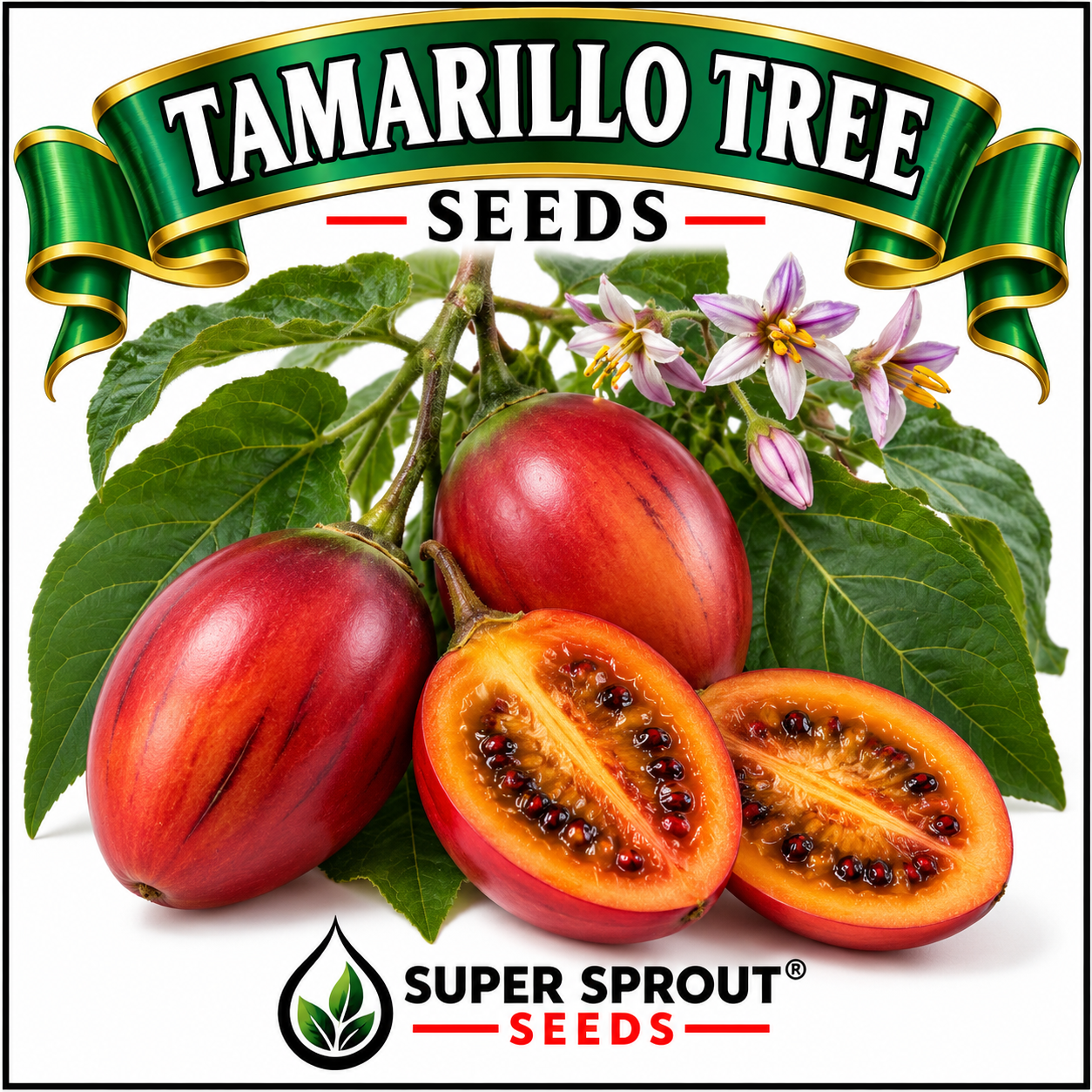 TAMARILLO TREE TOMATO x 10+ seeds