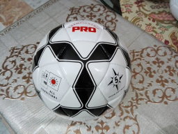 Soccer Balls