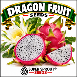 🌵DRAGON FRUIT🌵 x 15+ seeds