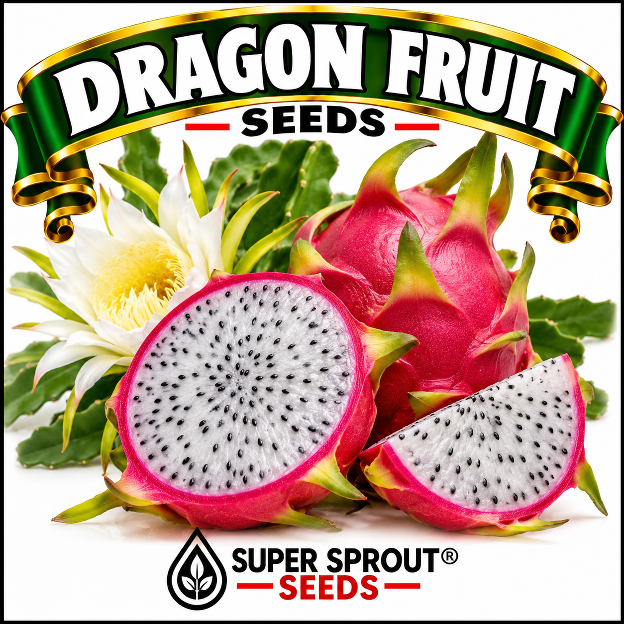 🌵DRAGON FRUIT🌵 x 15+ seeds