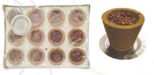DHOOP CUPS WITH GUGAL_8