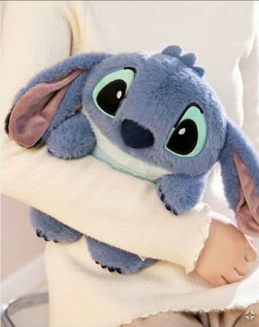 Disney XL Hot Water Bottle 