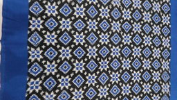 WW/0054 Telia rumal fabric 2/100sx2/80s
