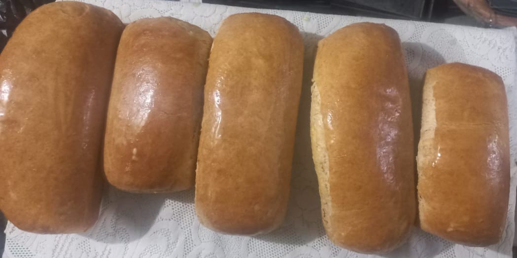 Whole Wheat Bread