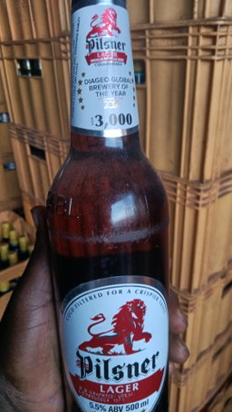 Pilsner lager