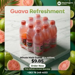 Minute Maid Guava 12 x 400mL