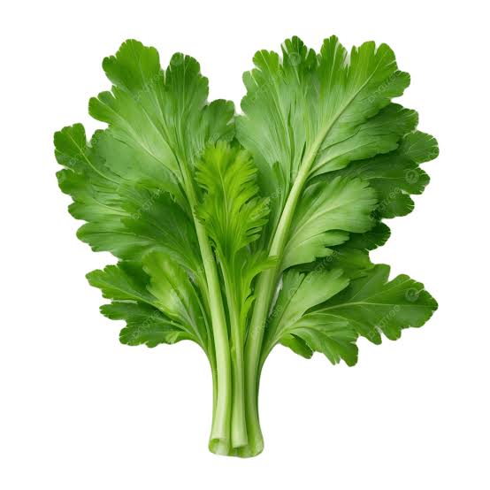 كرفس 