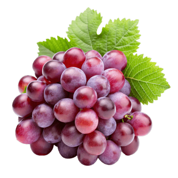 عنب احمر 