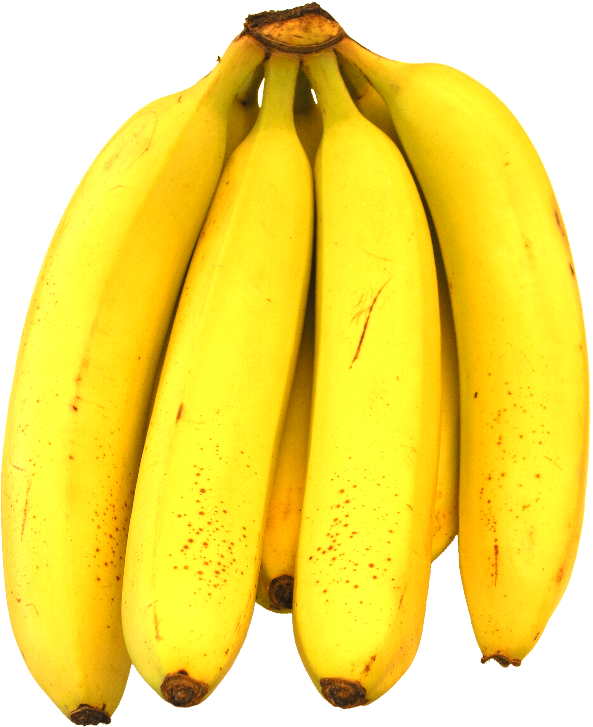 موز