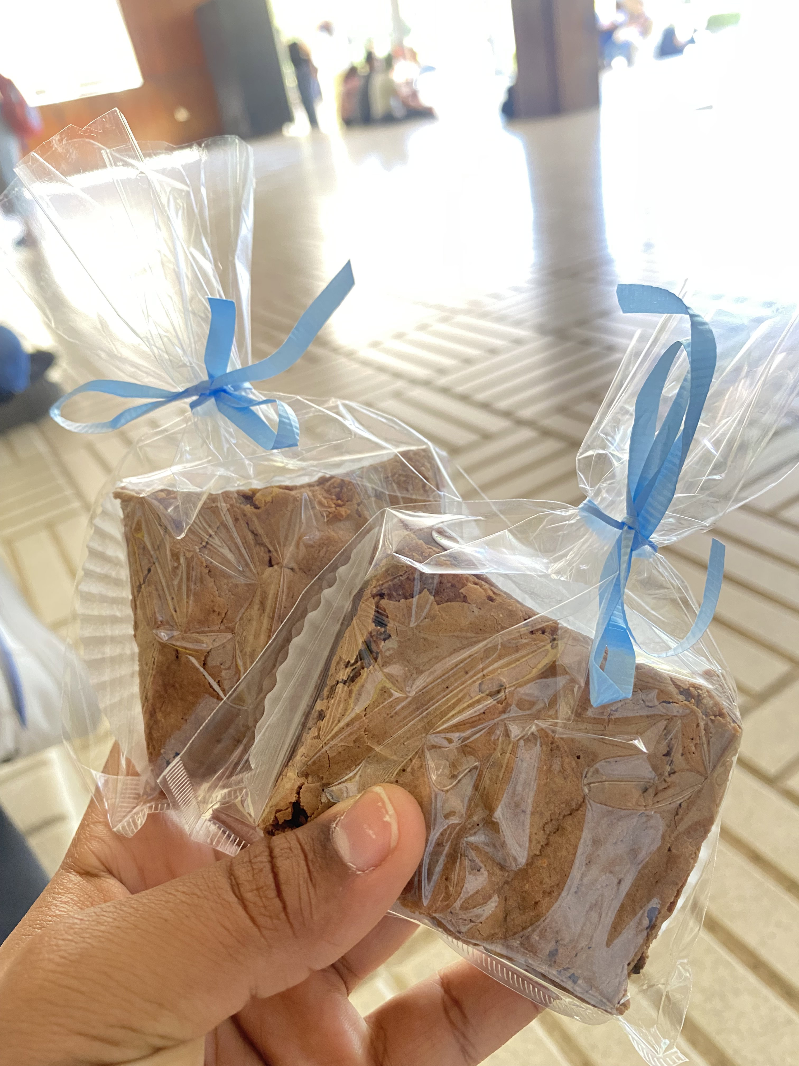 Plain brownie 