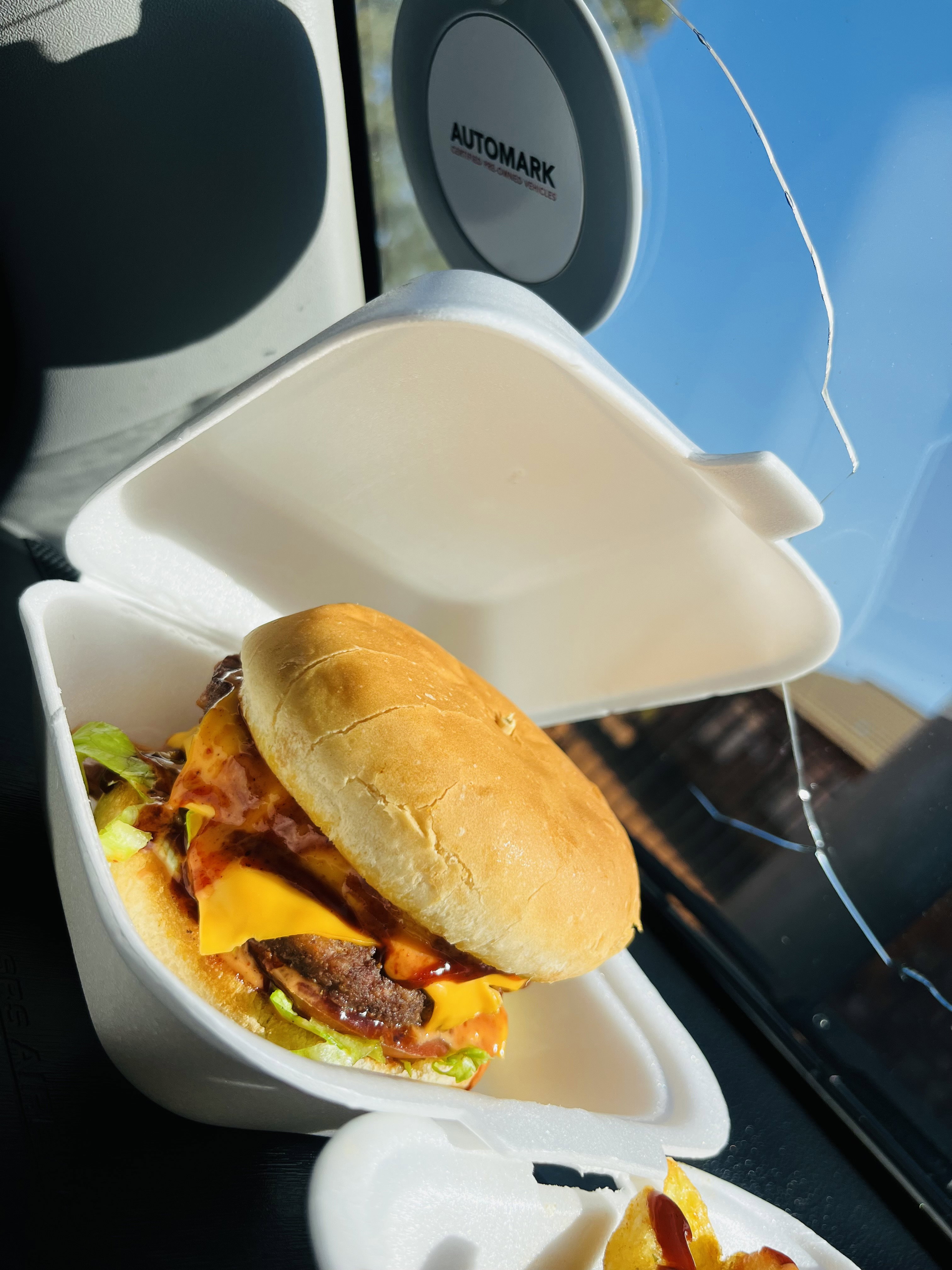 Classic burger(No fries)