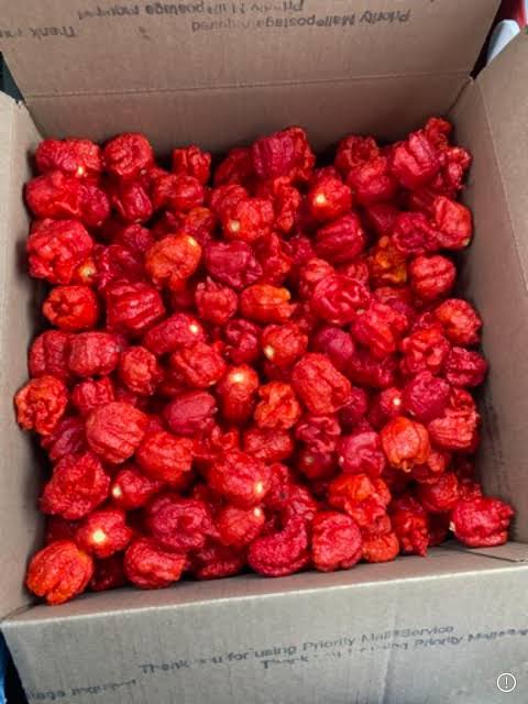 Carolina Reapers Peppers (10Lb)