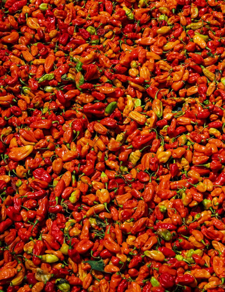 Habanero Pepper (8Lb)