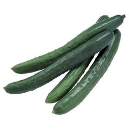 Cucumber