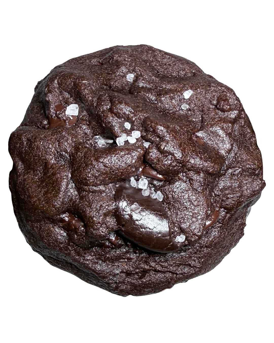 Signature Double Chocolate