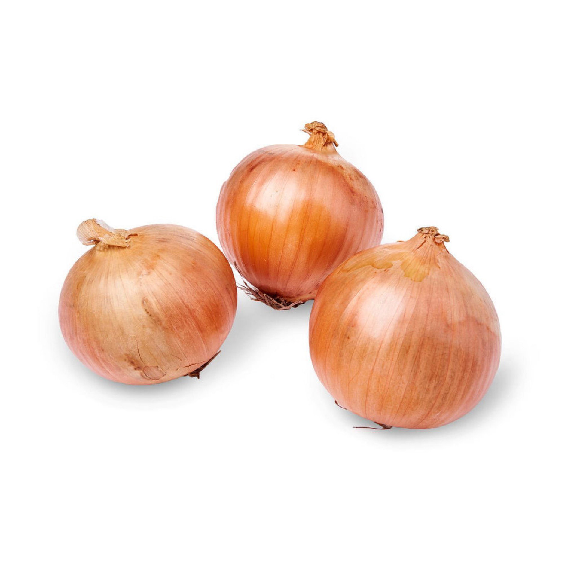 Onion wholesale 20kg