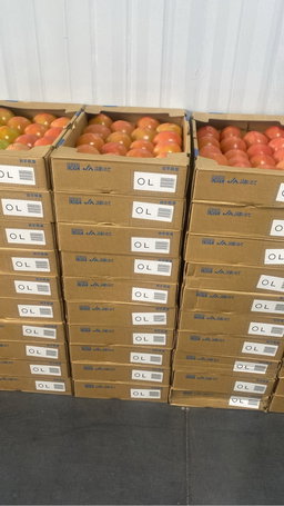 Tomato best quality case
