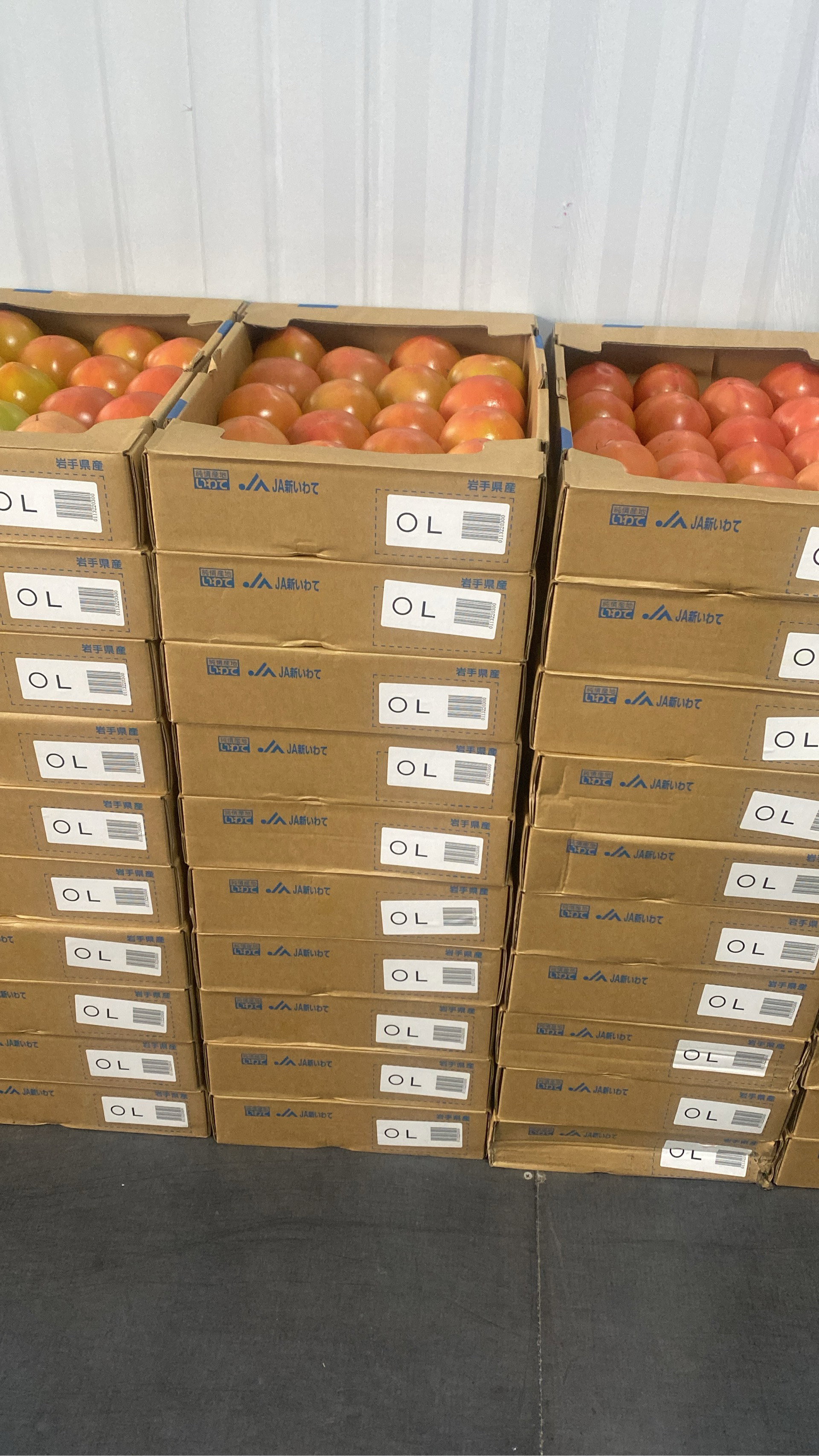 Tomato best quality case
