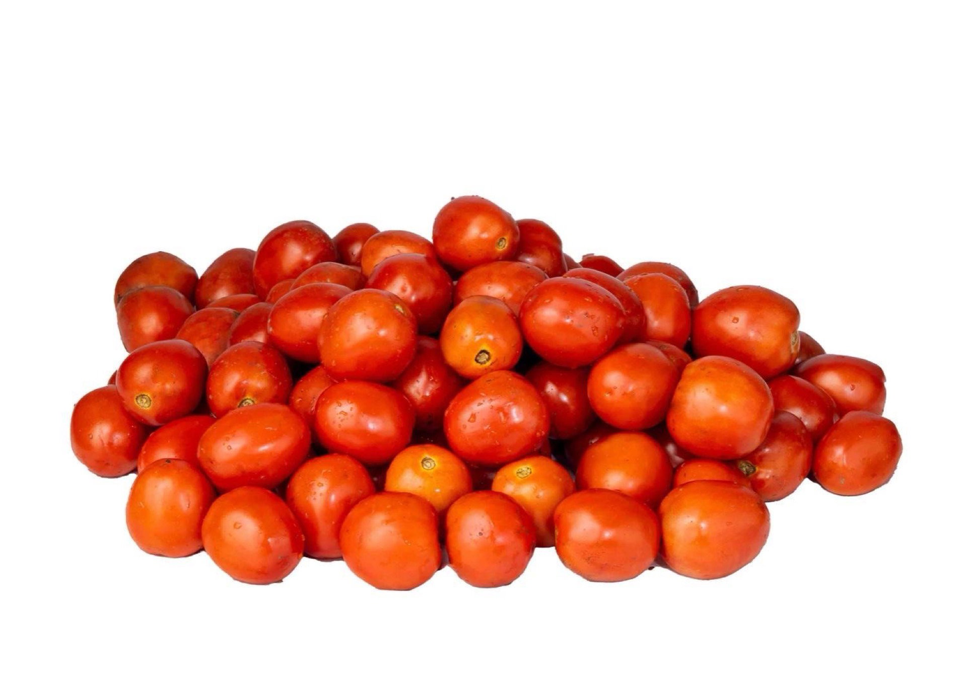 Tomato low quality case