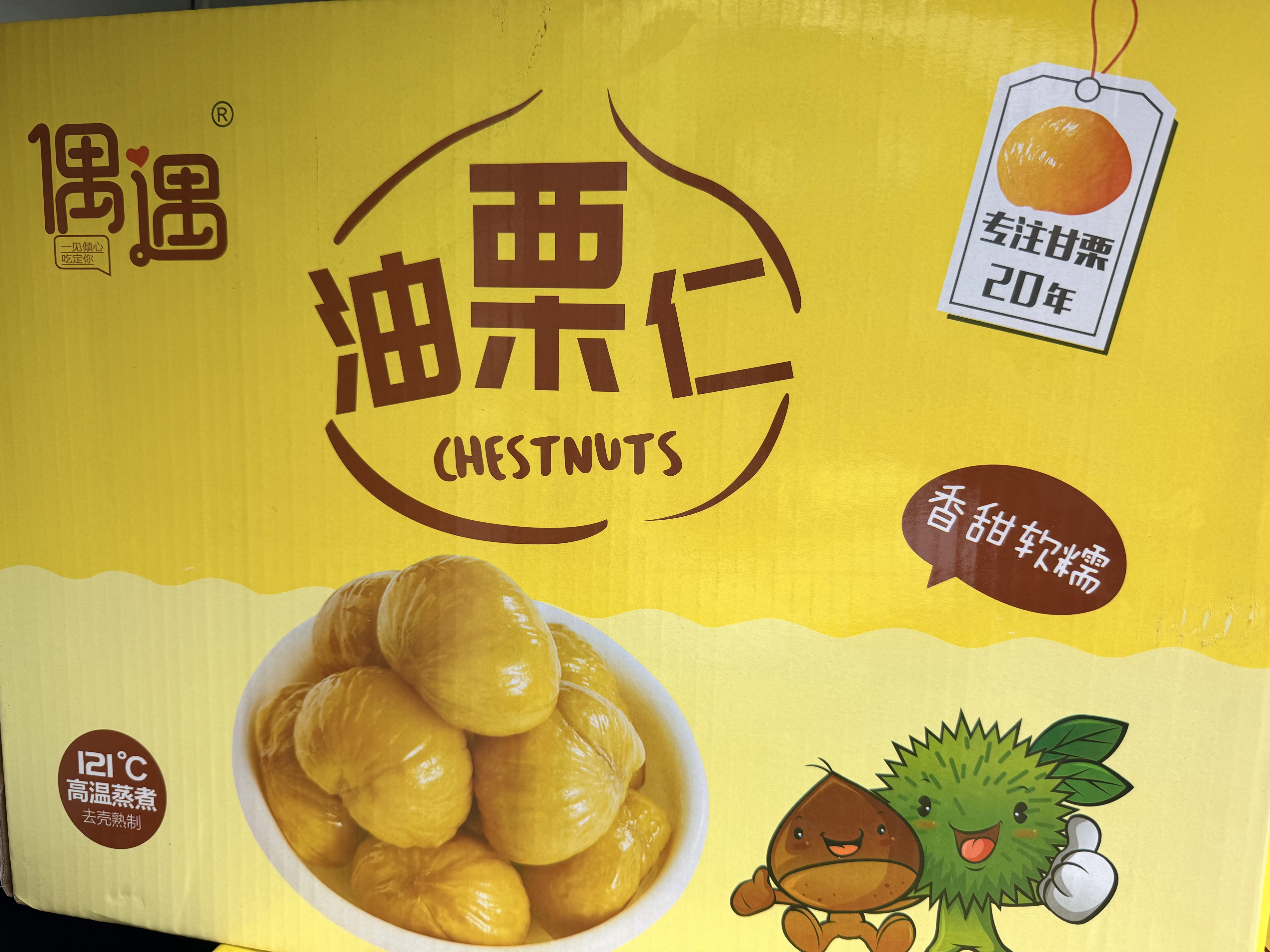 China Mini Chestnut 