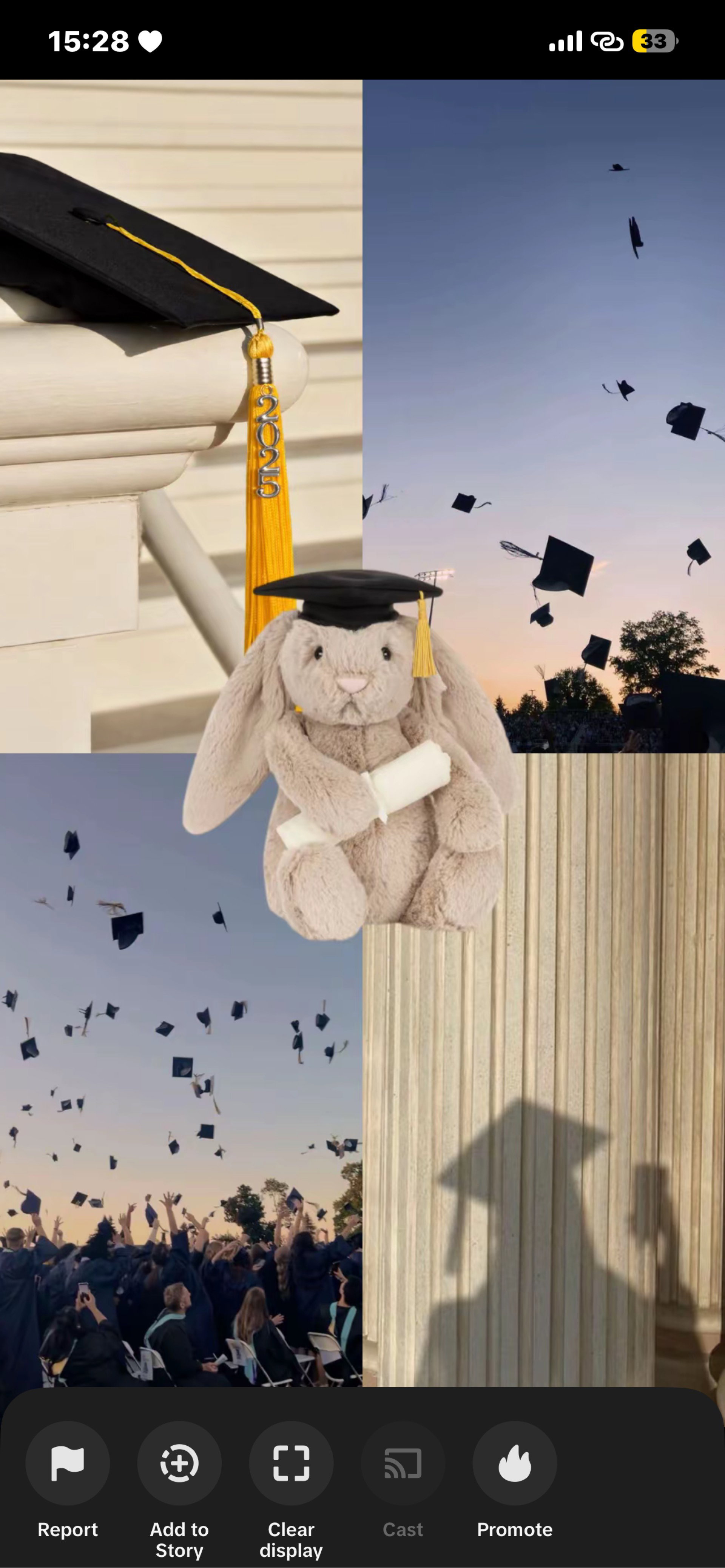 jellycat - graduation bunny