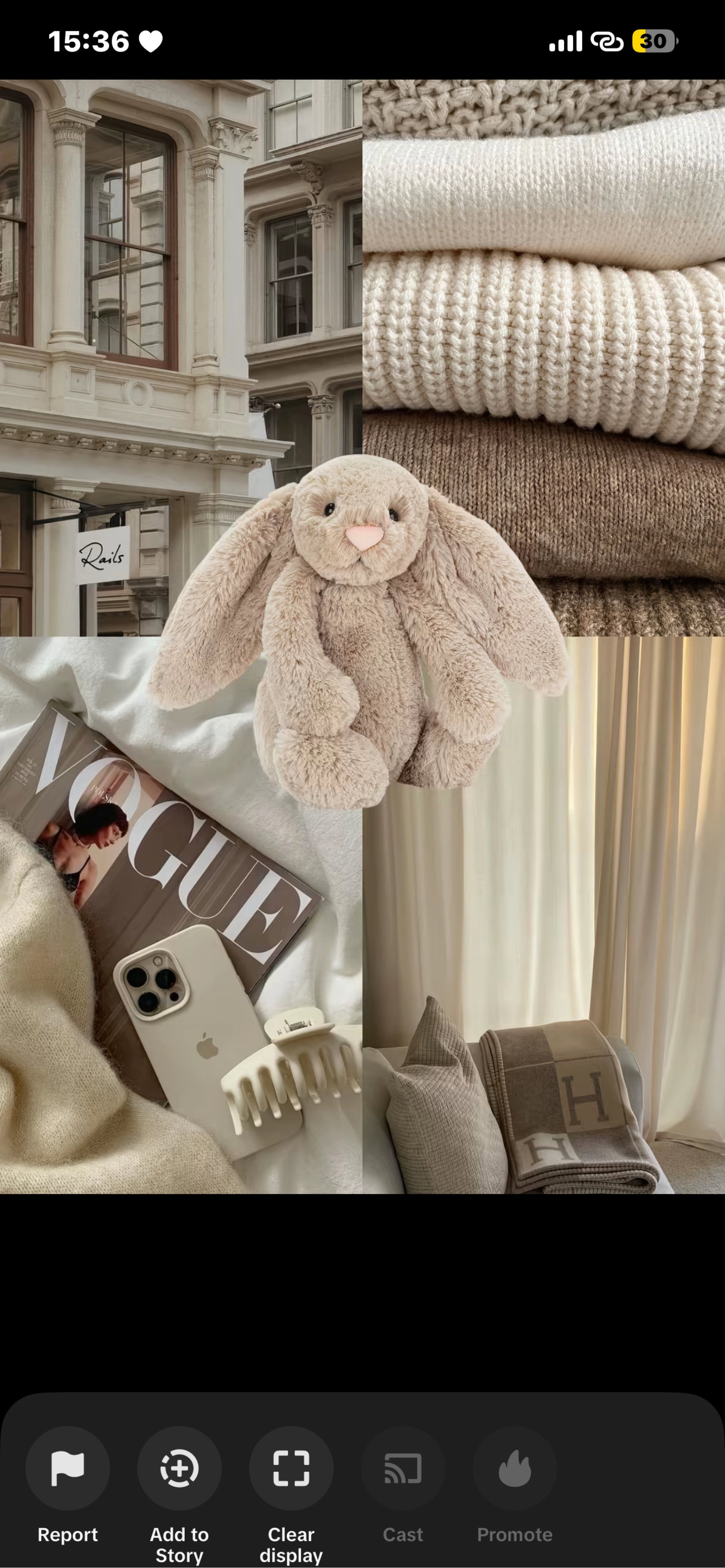 jellycat - bunny
