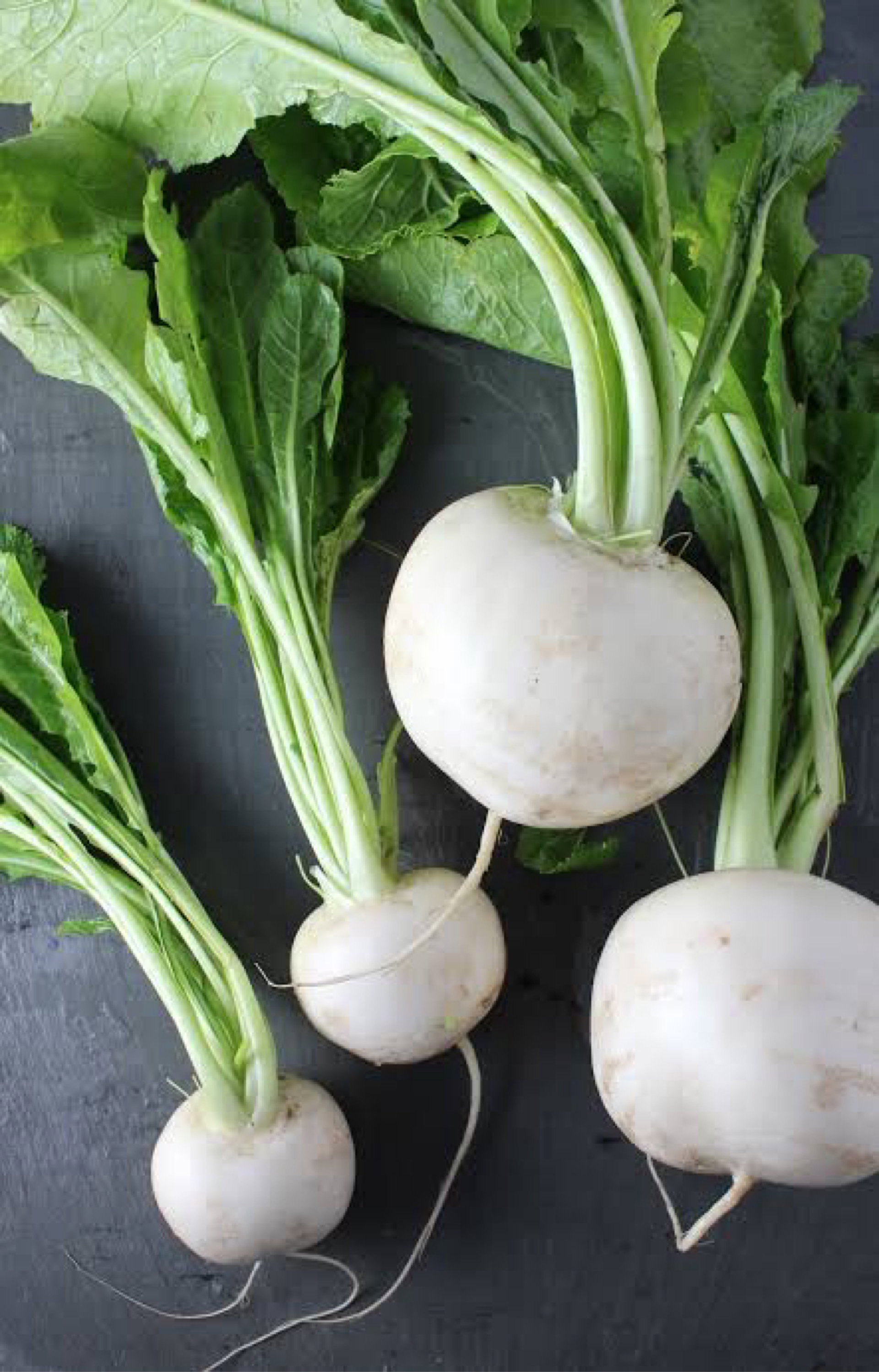 Turnip ( shaljum ) pack