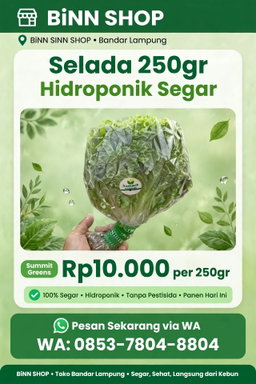 Selada Hidroponik (250gr)