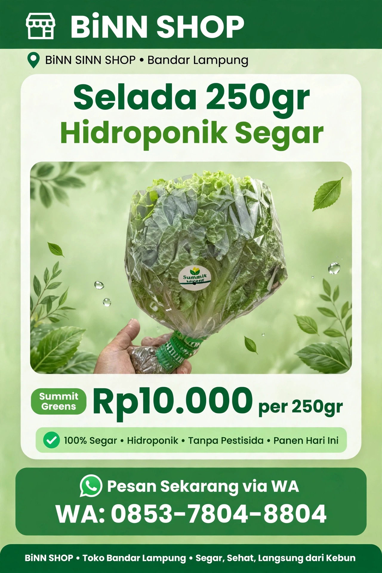 Selada Hidroponik (250gr)